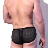 Bottoms * | Sculpted Stretchy Mesh Briefs Bestsellers Black